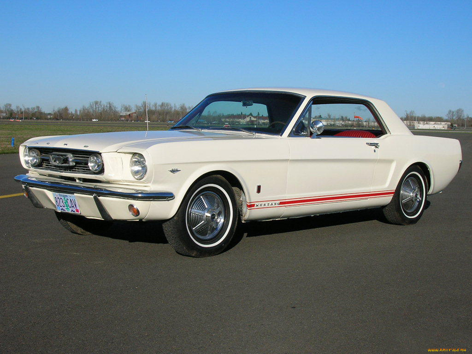, mustang